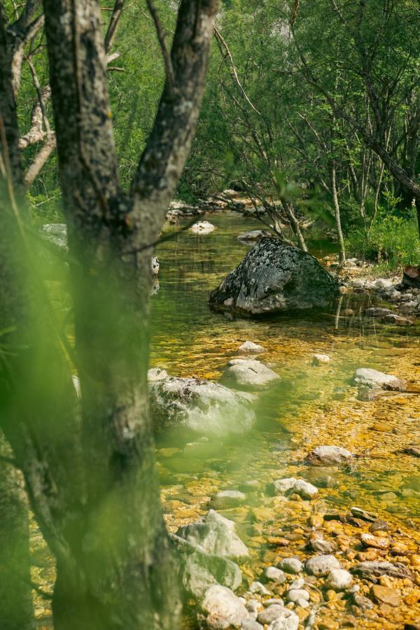 Natures Escape Kozarica Savnik エクステリア 写真